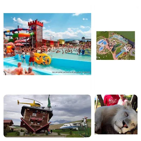 Sefec * Szielnic