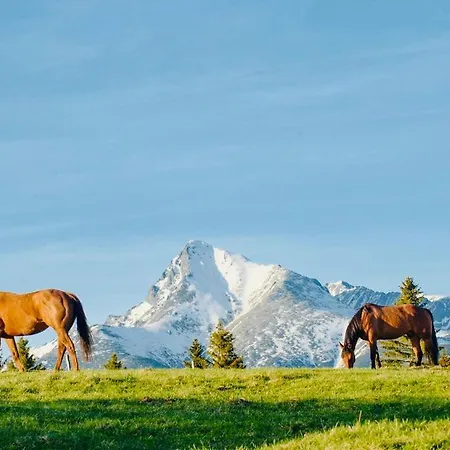 Sefec Casa vacanze *
