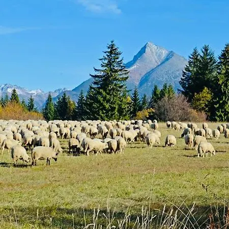 Sefec * Liptovská Sielnica